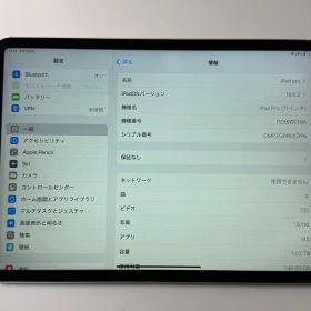 iPad Pro 11インチ 1世代 1TB / Wi-Fi Cellular