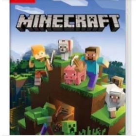 マインクラフトSwitch(家庭用ゲームソフト)