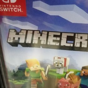 マイクラ(家庭用ゲームソフト)