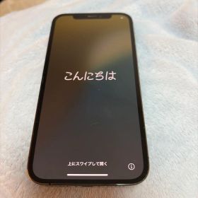 iPhone12pro