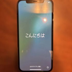 iPhone 12 PRO 本体のみ