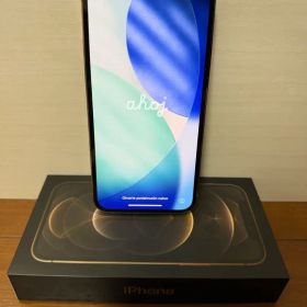 【毎日値下げ中】iPhone 12 Pro ゴールド 256GB ケース付き