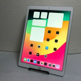 iPad Pro 12.9インチ（第2世代）Wi-Fiモデル256GB No33