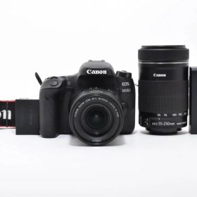 ★美品ショット数12088回★ キヤノン Canon EOS 9000D ダブルズームキット 18-55ｍｍ 55-250mm ★ L52#8085