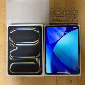 極美品 Apple iPad Pro 11 M4 256GB インチ シルバー