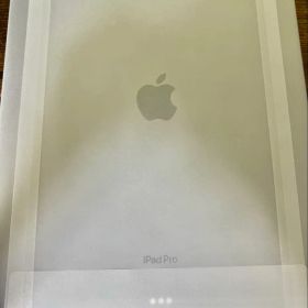iPad Pro M4 11インチ 256GBブラック + Pencil Pro