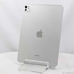 iPad Pro 11インチ 第5世代 標準ガラス 256GB シルバー MVW23J／A