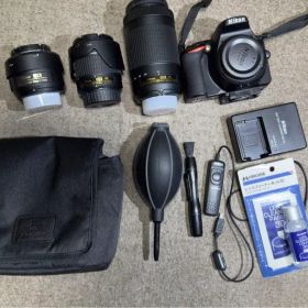 Nikon D5600 一眼レフ引退品セット