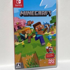 Switch マイクラ 美品 動作確認済