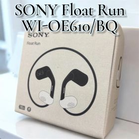 【動作確認済み】SONY Float Run WI-OE610 BQ