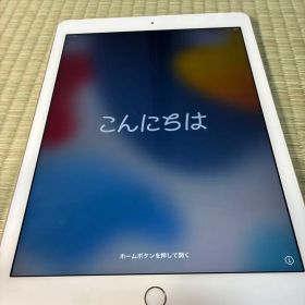 Ipad air2 Wi-Fi + Cellular docomo 16GB