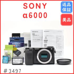 【美品】ソニー SONY α6000 ボディ《ショット数わずか1491回》
