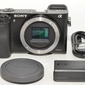 980★美品・ショット数453回★SONY ミラーレス一眼 α6000 ボディ ブラック ILCE-6000 B