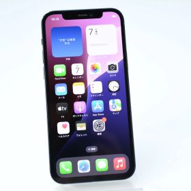 【Face IDジャンク＊液晶美品】SIMフリー docomo iPhone 12 64GB ブラック