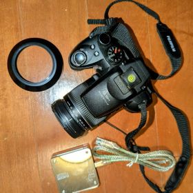 【超望遠30倍】FUJIFILM FinePix HS10 ネオ一眼 動作確認済