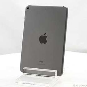 iPad mini 第5世代 64GB スペースグレイ Wi-Fi ［7.9インチ液晶／A12-Bionic］