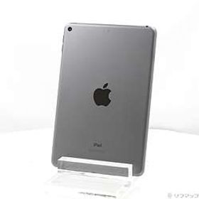 iPad mini 第5世代 256GB スペースグレイ MUU32J／A Wi-Fi ［7.9インチ液晶／A12-Bionic］