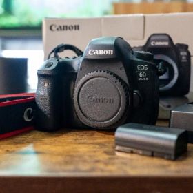 Canon EOS 6D Mark II デジタル一眼レフ