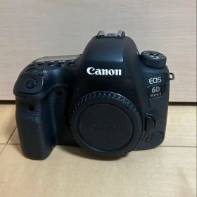 Canon EOS 6D Mark II 本体