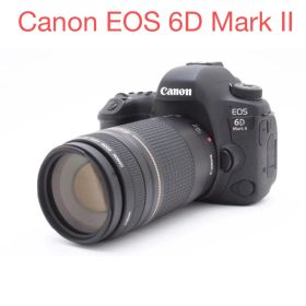 Canon EOS 6D Mark II / Canon EF75-300mm