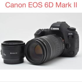 一眼レフカメラ Canon EOS 6D Mark II /ダブルレンズセット