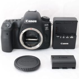 ☆新品級・ショット数3437☆ Canon デジタル一眼レフカメラ EOS 6D Mark II ボディー EOS6DMK2 #4830