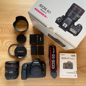 Canon EOS 6D Mark II + EF 24-70mm kit