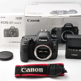 Canon EOS 6D Mark ii デジタル一眼レフカメラ#1498.55