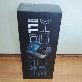新品 GoPro ゴープロ HERO11 BLACK CHDHX-112-FW