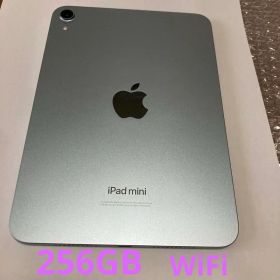 iPad mini A17 Pro 256GB Wi-Fi スペースグレー 本体