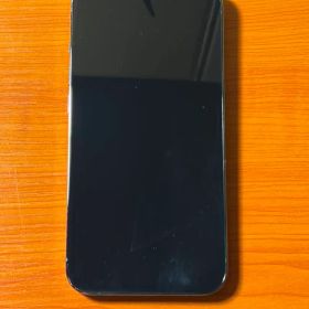 Apple iPhone 13 Pro グラファイト 256GB