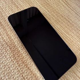 iPhone13 pro 256GB