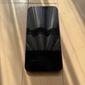 Apple iPhone 13 Pro グラファイト 本体 256GB