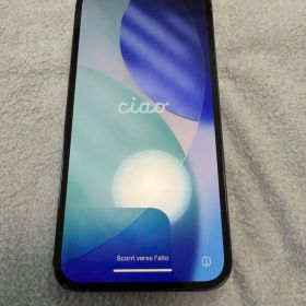 iPhone13Pro 256GB SIMフリー バッテリー100%【美品】