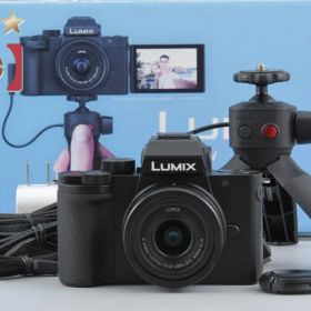 【中古】Panasonic パナソニック LUMIX DC-G100V 標準ズームレンズキット シャッター回数僅少 元箱付き
