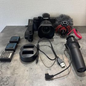 LUMIX DC-G100ミラーレス一眼カメラ 本体と付属品
