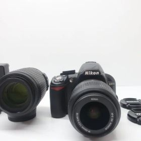 Nikon ニコン D3100 ダブルズームキット