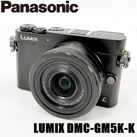 パナソニック(Panasonic)のパナソニック Panasonic LUMIX DMC-GM5K-K レンズキット ブラック ミラーレス カメラ 中古(ミラーレス一眼)