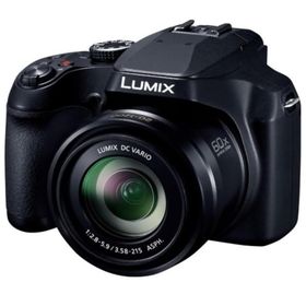 パナソニック Panasonic デジタルカメラ DC-FZ85D-K(67903)(67903)