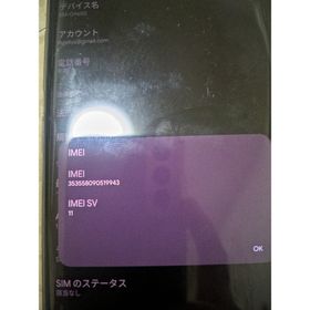 GALAXY S9 + カスタムROM導入済み 改造スマホ(スマートフォン本体)
