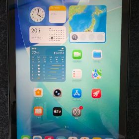 iPad mini 第6世代 64GB セルラーモデル 動作良好 画面ヒビあり