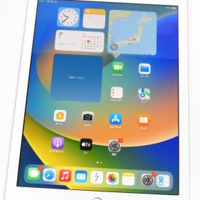 iPad 第5世代 32GB A1823 MP1L2J/A docomo
