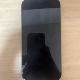 Apple iPhone 12 ProMax グラファイト