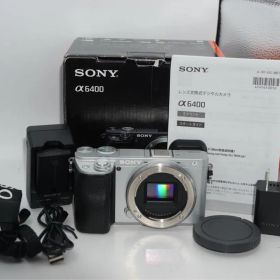 【箱付き美品】SONY ソニー α6400 ミラーレス一眼カメラ