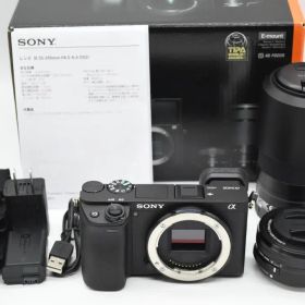 304枚 ★美品★ SONY α6400 ダブルズームキット ブラック 即発送
