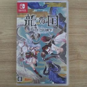 美品 Switch 龍の国 ルーンファクトリー