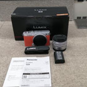 LUMIX / DC-S9 レンズキット DC-S9N PANASONIC