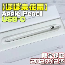 保証有【ほぼ未使用】Apple Pencil USB-C 334