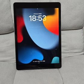 【256GB/Pencil付】iPad（第9世代） シルバー [充電器なし]