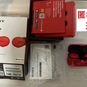 SONY WF-H800 ジャンク品